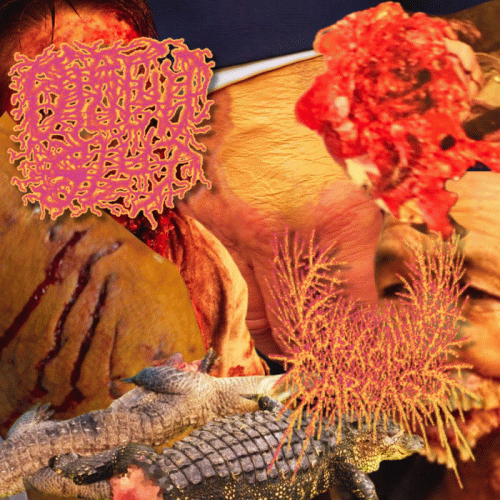 Biscuitslut : Sponsored Suicide